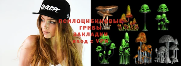 спиды Армянск