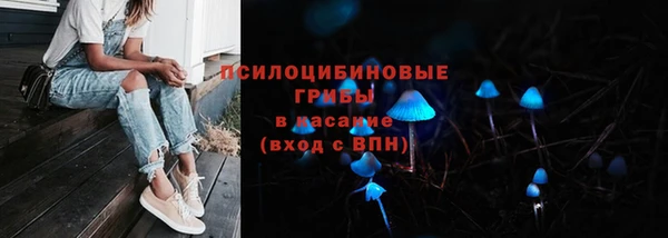 мескалин Арсеньев